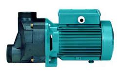 SPA Pump 240V