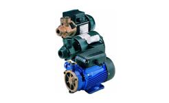 P Series Bronze Pumps 240V