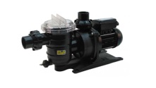Pentair Swimmey 240v