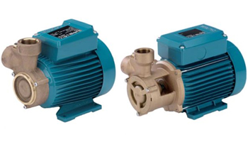 B-CT, B-T (M) Bronze Peripheral Pumps