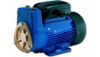 Lowara SP Self Priming Peripheral Pumps