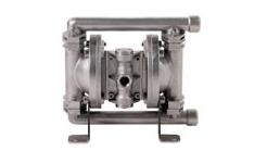 Stainless Steel Blagdon Pumps