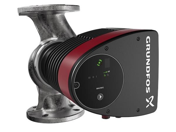 grundfos bronze pump with timer