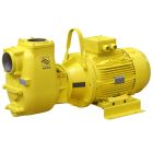 Varisco JE 4-160 G10 MT20 - 4" Self Priming Pump 11kW 415v (8381060288)