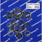 CRN30 /60 Mech Shaft Seal And Gasket Kit AUUE/V