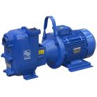 Varisco JE 2-180 G10 MT20 - 2" Self Priming Pump 5.5kW 415v (8381061111)