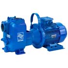 Varisco JE 3-180 G10 MT20 - 3" Self Priming Pump 7.5kW 415v (8381060277)