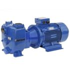 Varisco JE 1-160 G30 MM20 - 1 1/2" Self Priming Pump 2.2kW 240v (8381063018)