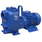 Varisco JE 3-140 G10 MT20 - 3" Self Priming Pump 4kW 415v (8381061129)