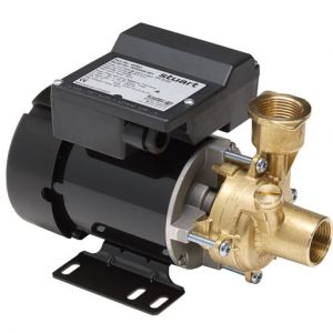 PH 35 ES/ 45 ES Peripheral Booster Pump 240V