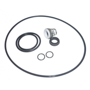 Lowara O-Ring Kit (EPDM) for e-SV 10/15/22 Range