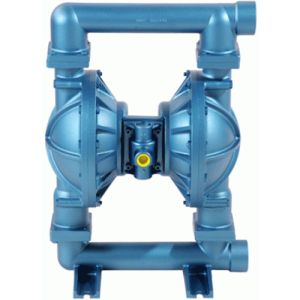 Blagdon X5005SSBBTTS 2" Stainless Steel Pump