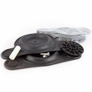Patay DD120 Viton Diaphragm Service Kit - S1974V