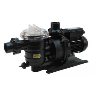 Pentair Swimmey 24M Swimming Pool Pump 240v [CC: 0096]